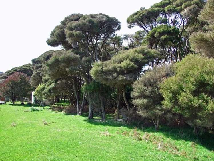 172 Wharariki Road Kahurangi National Park_6