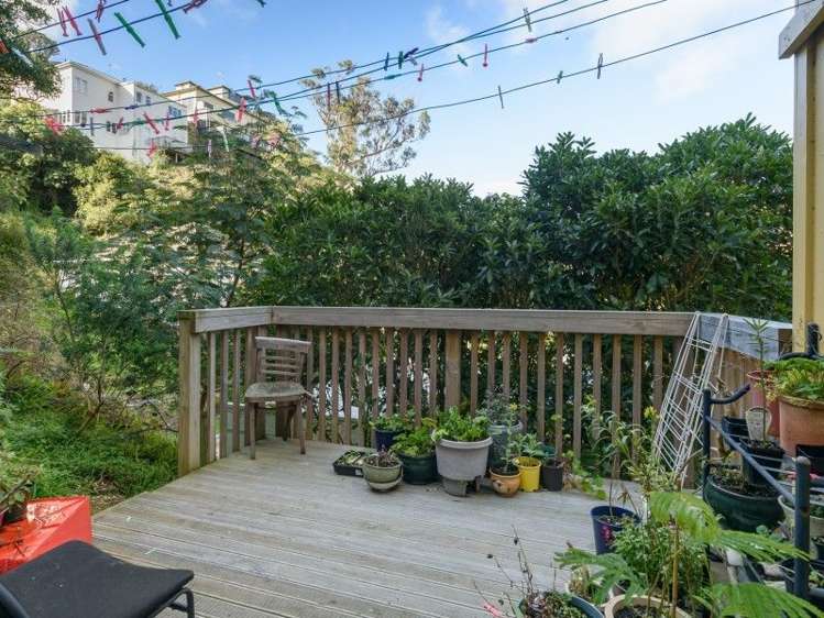 58c Norway Street Aro Valley_13