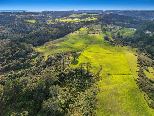 132B Gatfield Road Kaukapakapa_3