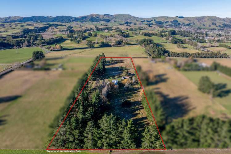 251 Homeview Road Cheviot_34