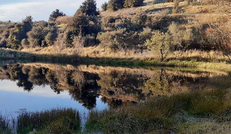 41 Totara Place Queensberry_15