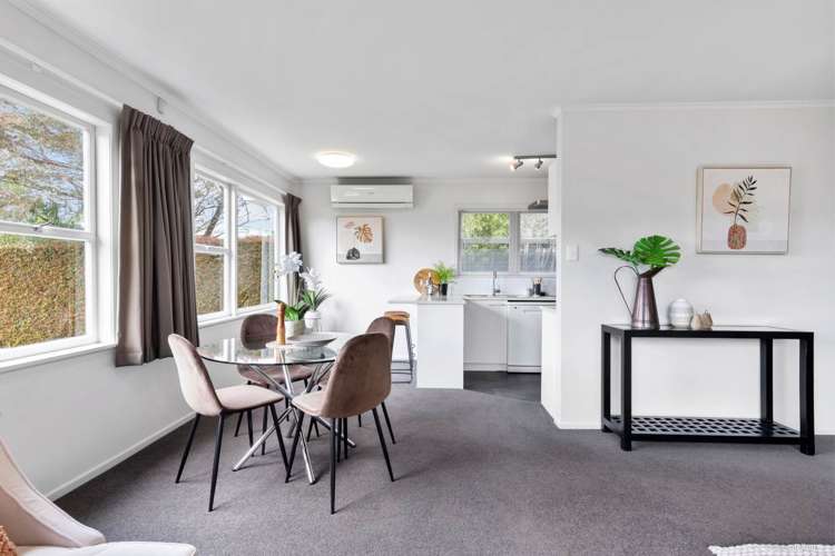 4a Odessa Crescent Saint Heliers_13