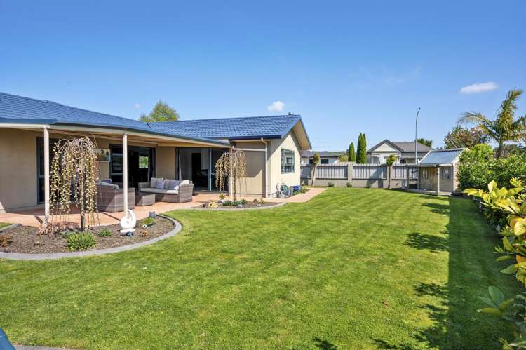 270 Guppy Road Taradale_13