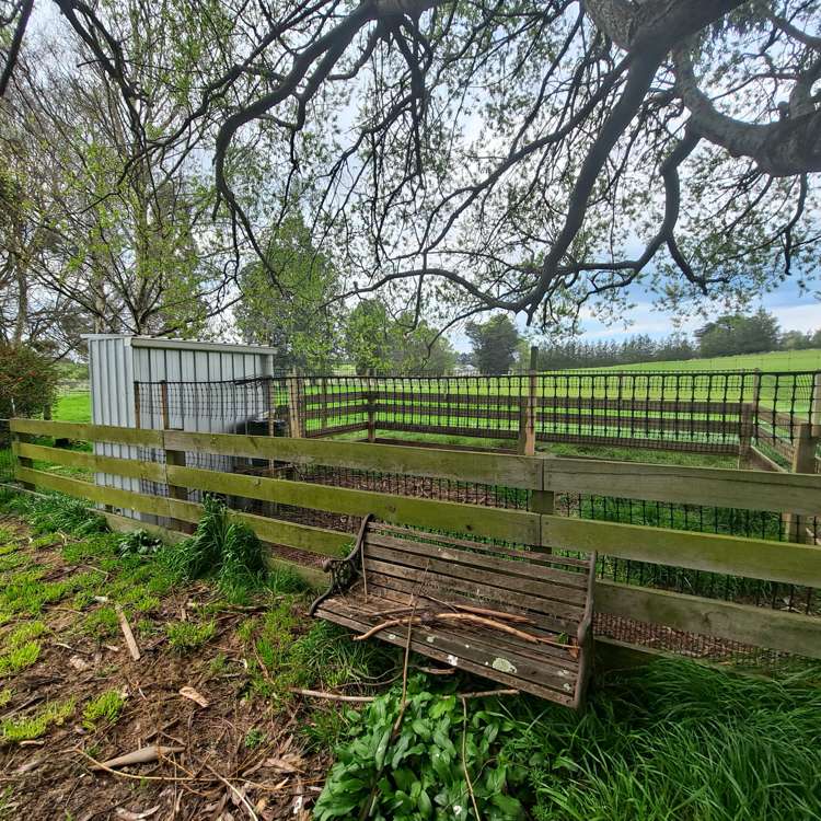 51 Allan Street Clinton and Surrounds_21