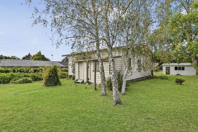 117 Seabrook Avenue New Lynn_4