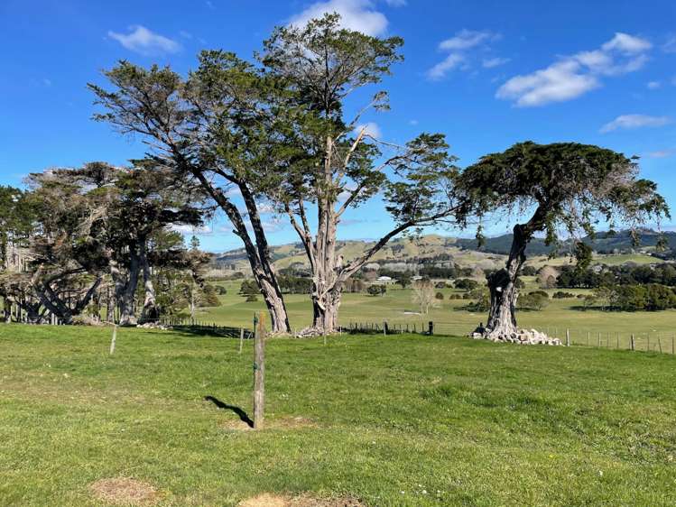 777 Kaipara Flats Road Kaipara Flats_8