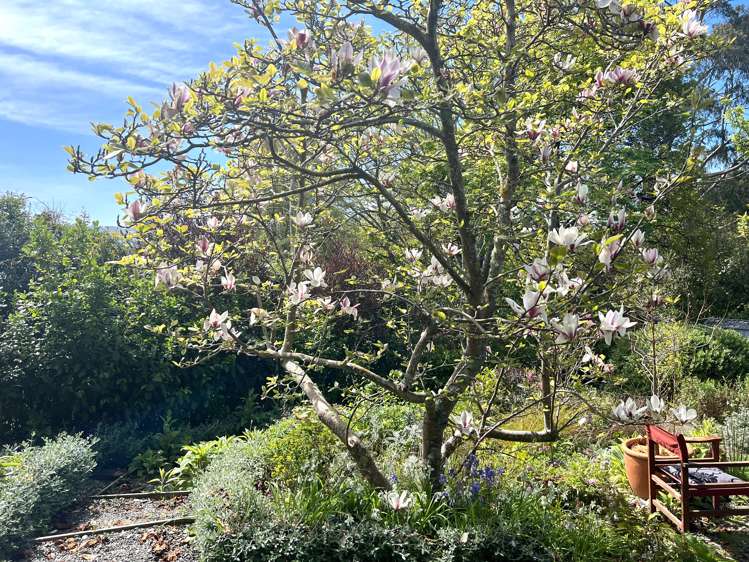 37 Frances Street Broad Bay_27