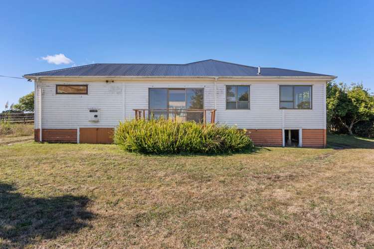 106 Andrews Road Onewhero_37
