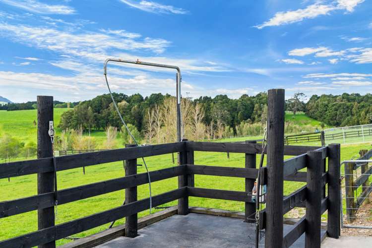 226 Knight Road Ruatangata West_24