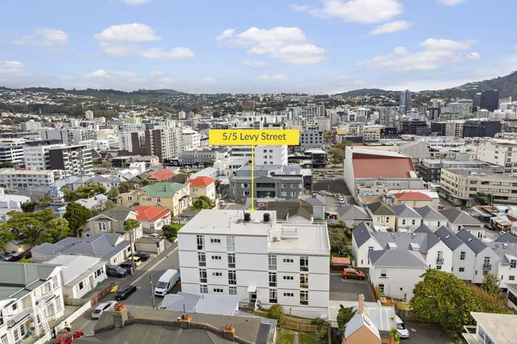 5/5 Levy Street Mount Victoria_13