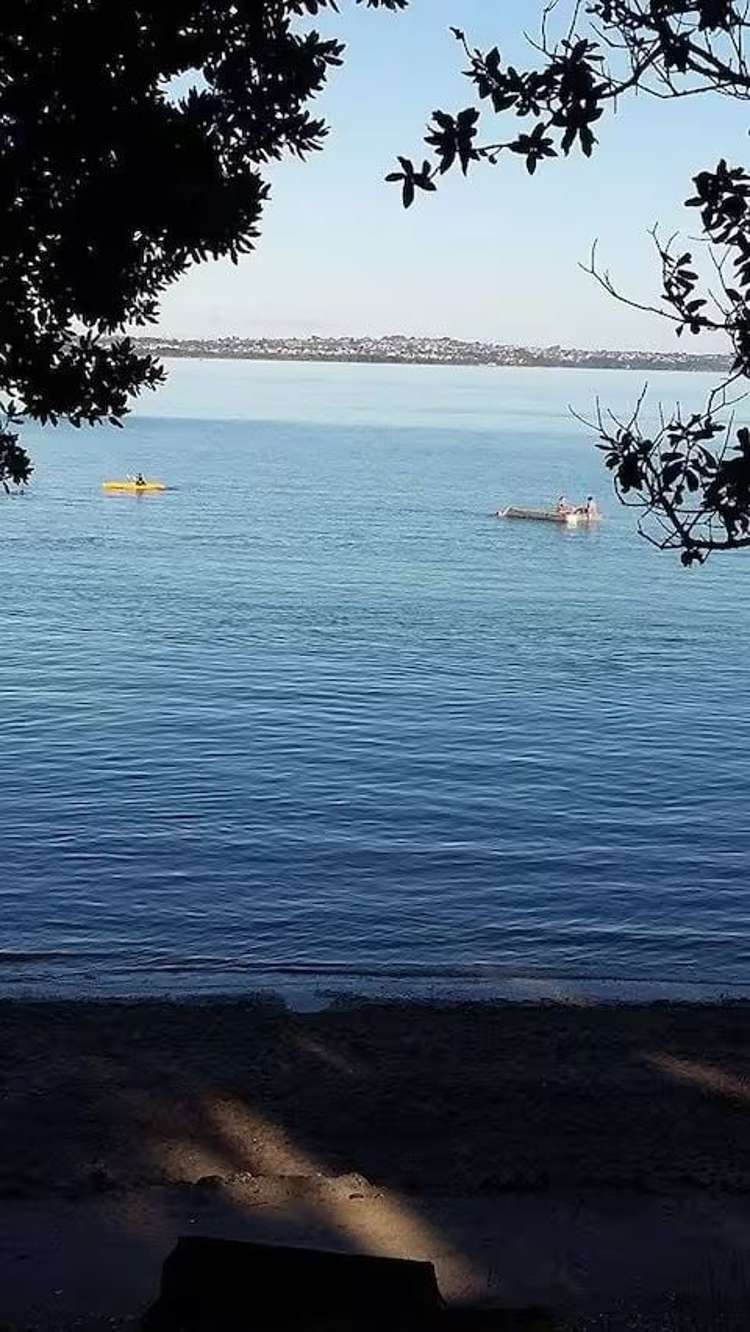 83 Dignan Street Point Chevalier_14