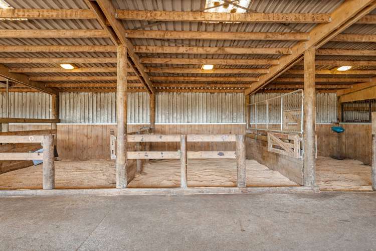 154 Muriwai Valley Road Muriwai_11