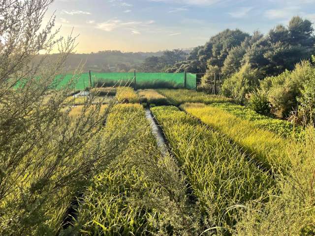 200 Tawa Road Kumeu_4