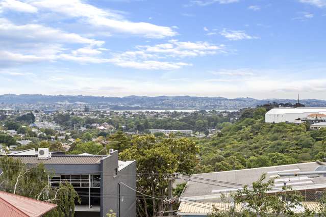 2n/12 Charles Street Mount Eden_2