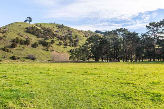 809 Norfolk Road Carterton_2