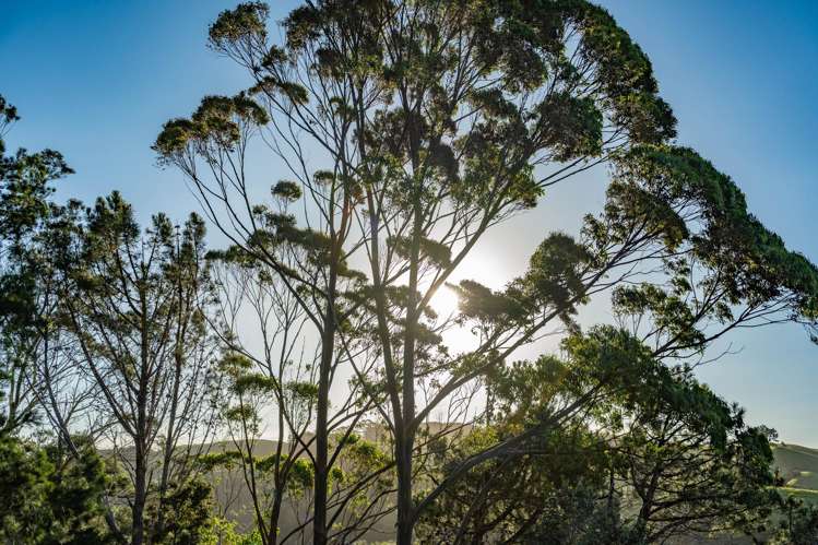 79-85 Awaawaroa Road Waiheke Island_19
