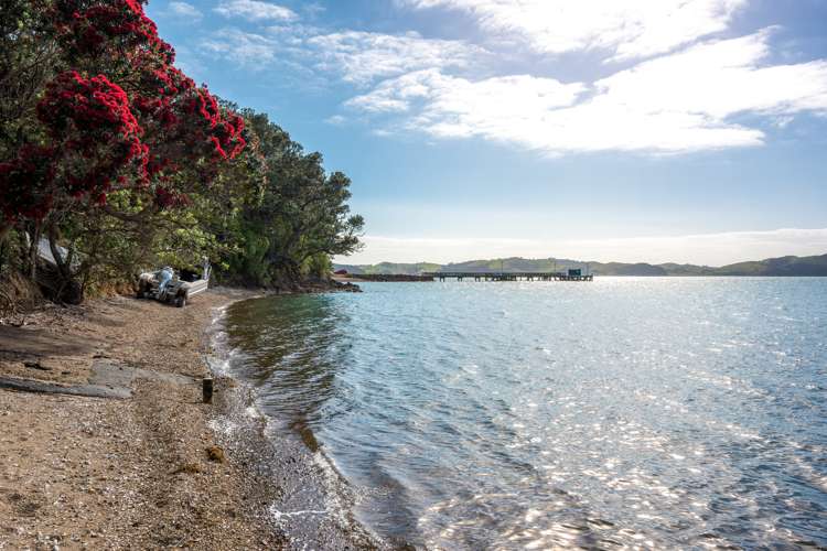 7 Neil Avenue Waiheke Island_18