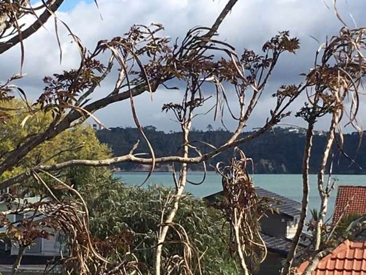 47 Faulder Avenue Westmere_7