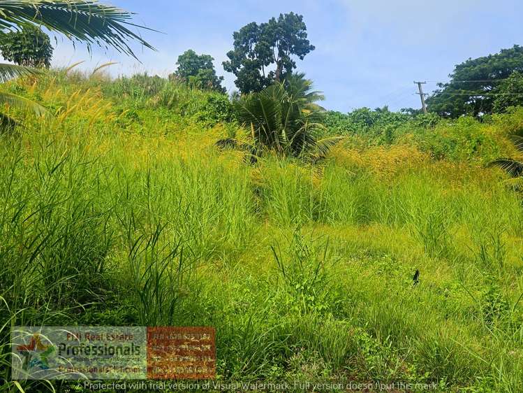 Address withheld Savusavu_12