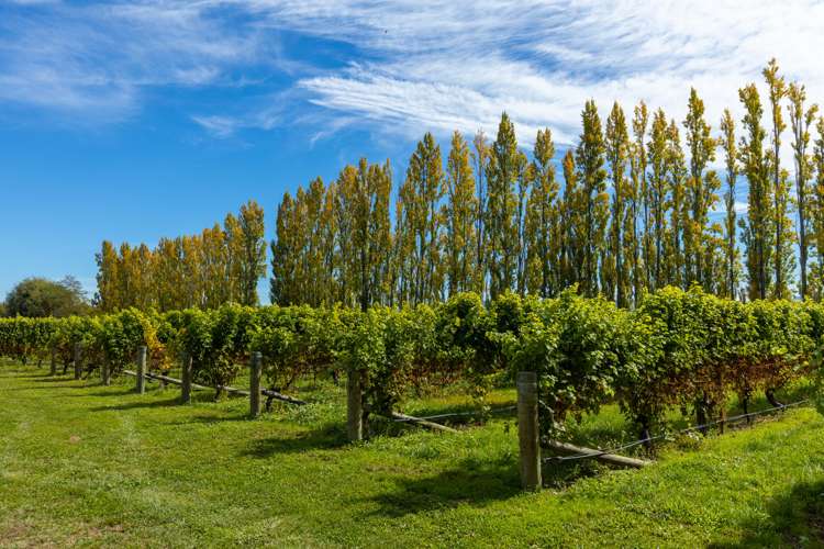 Alabama Road Riverlands_25