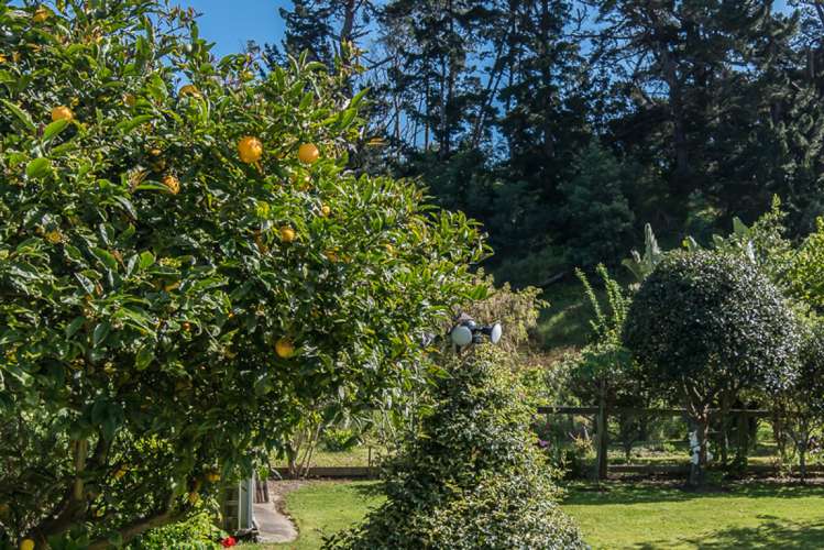 34 Park Avenue Waikanae_14