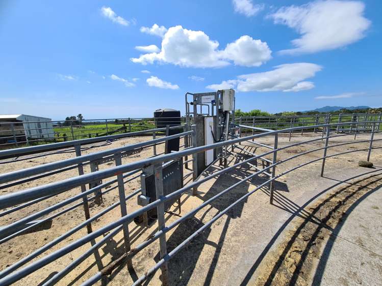 341 Puniho Road Newall_4