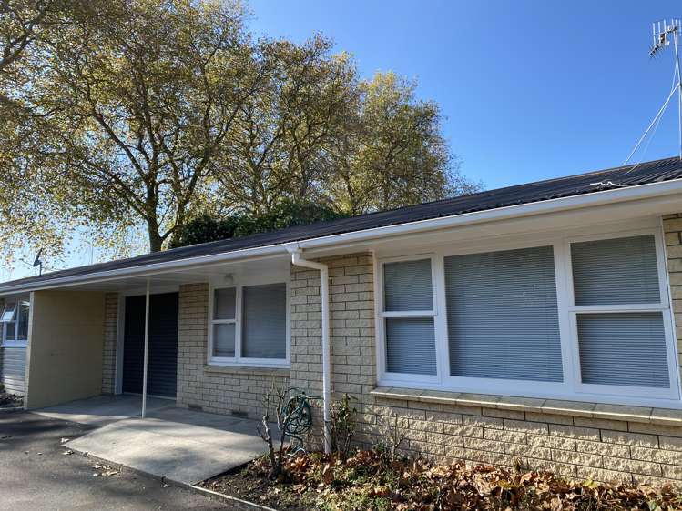 36 Seventeenth Avenue Tauranga South_12