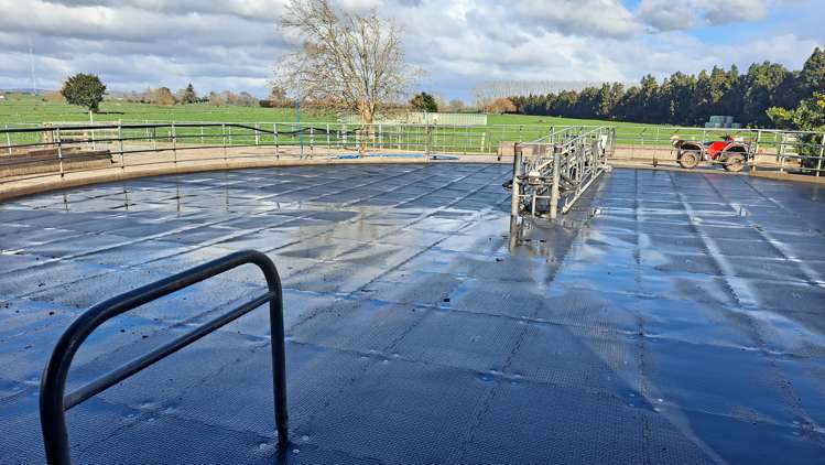 768 Piako Road Gordonton_5