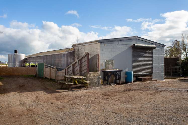 271a Waghorn Road Wardville_20