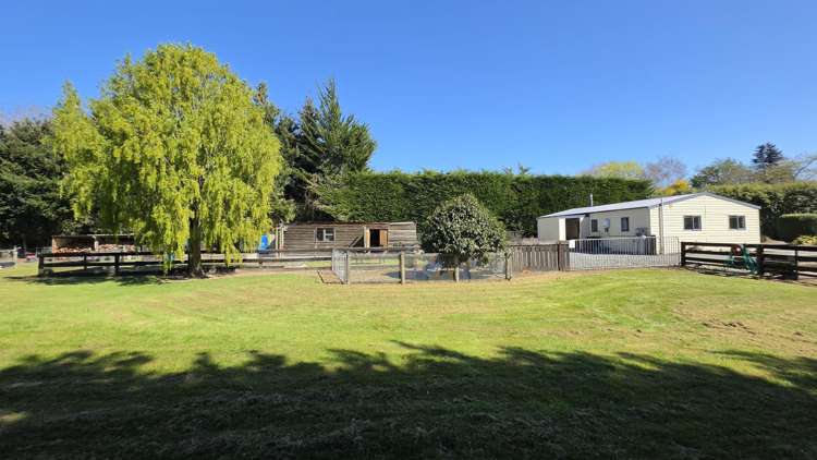 9 David Street Hinds_26