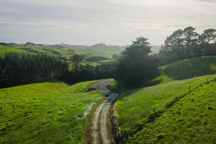 Ararua Road Matakohe_14