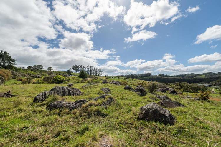 183A Wiroa Road Kerikeri_13