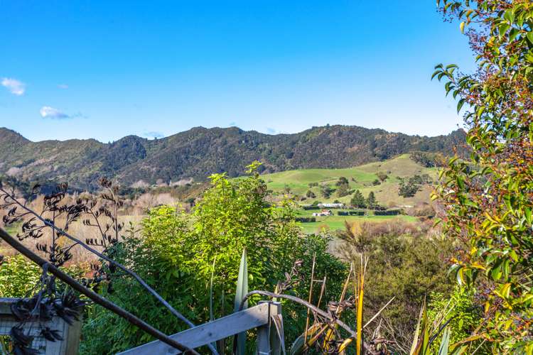 114 Whitehead Way Thames_27