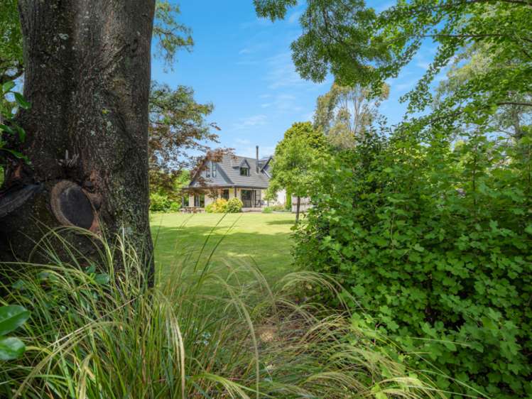 8 Glenhill Drive Witherlea_22