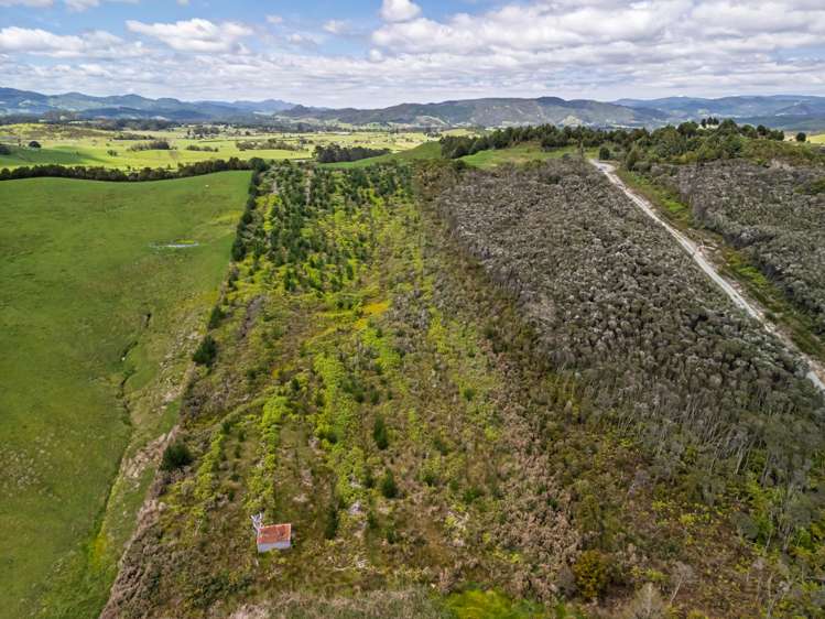 4580 State Highway 12 Kaikohe_11