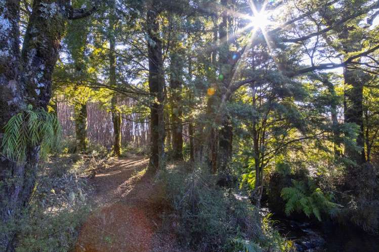 7 Mead Lane Ohakune_7