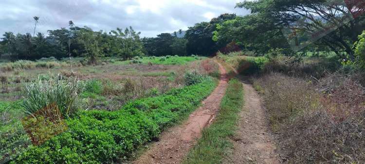Address withheld Labasa_27