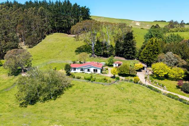 327 Okarae Road Dannevirke_1