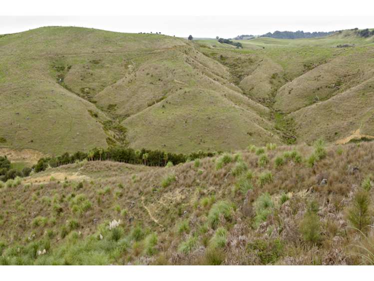 47 Haul Road Tahekeroa_21