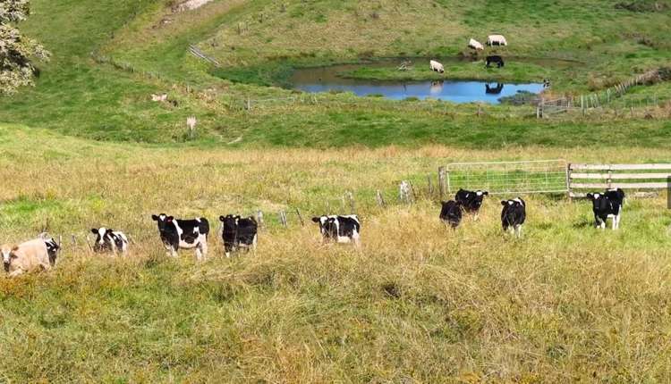 122 Hurndall Street Maungaturoto_18