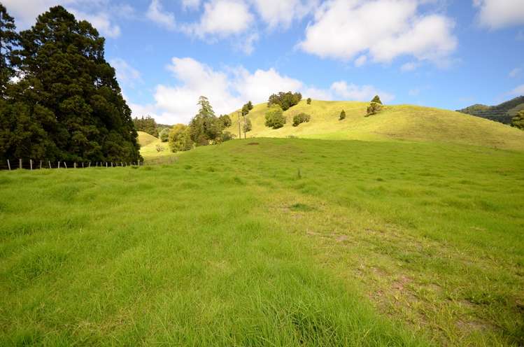 185 Takahue Saddle Road Takahue_17