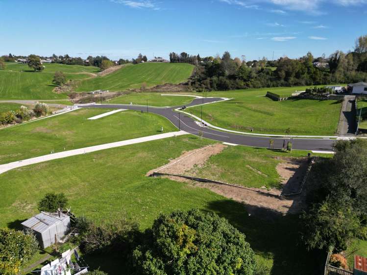 ** Ruru Downs Putaruru_12