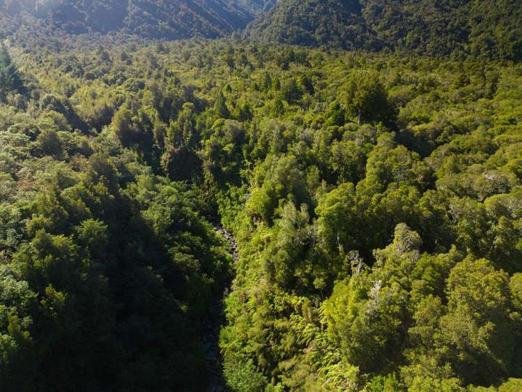 Bell Hill Road Inchbonnie_12