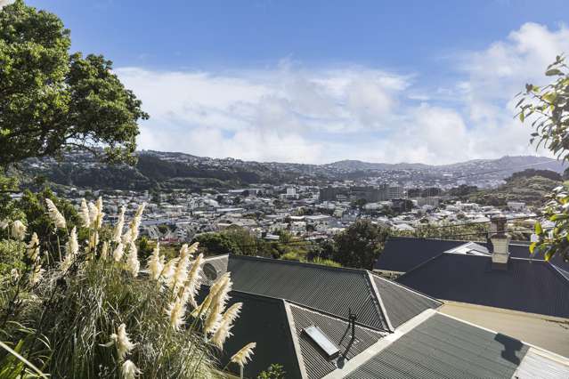 149a Coromandel Street Newtown_2