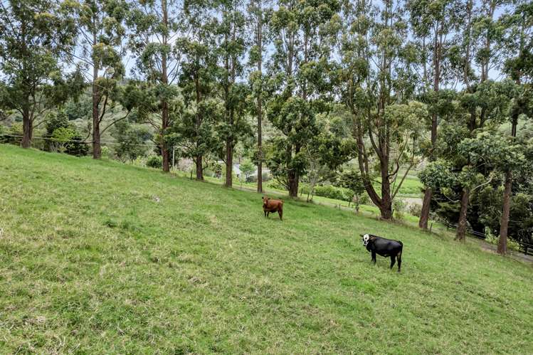 79 Grahamtown Road Onerahi_4