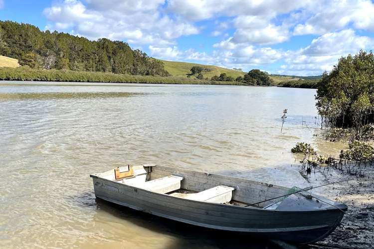Lot 2 Waimanu Road Wellsford_20