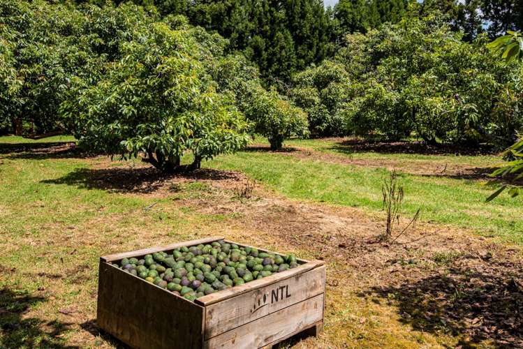 1700 State Highway 14 Maungatapere_5