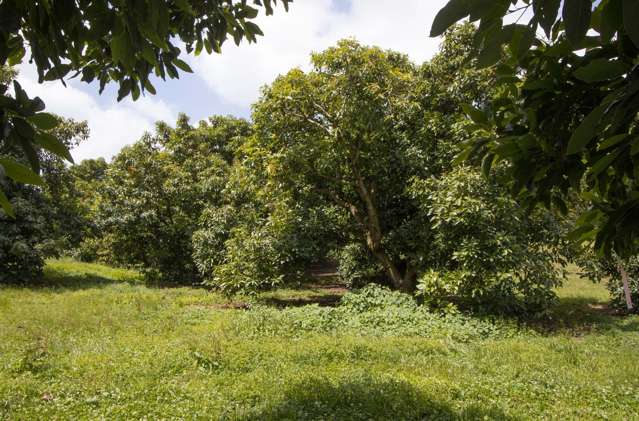 108d Kauri Point Road Hauraki Surrounds_2