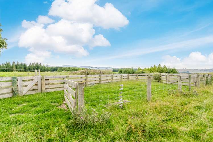 453 Wilden School Road West Otago Surrounds_14