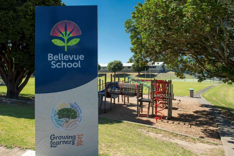 86 Princess Road Bellevue_31